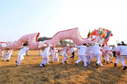 太阳城集团