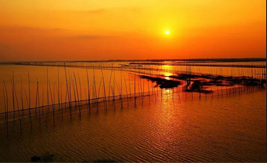 太阳城集团