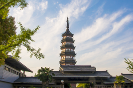 太阳城集团