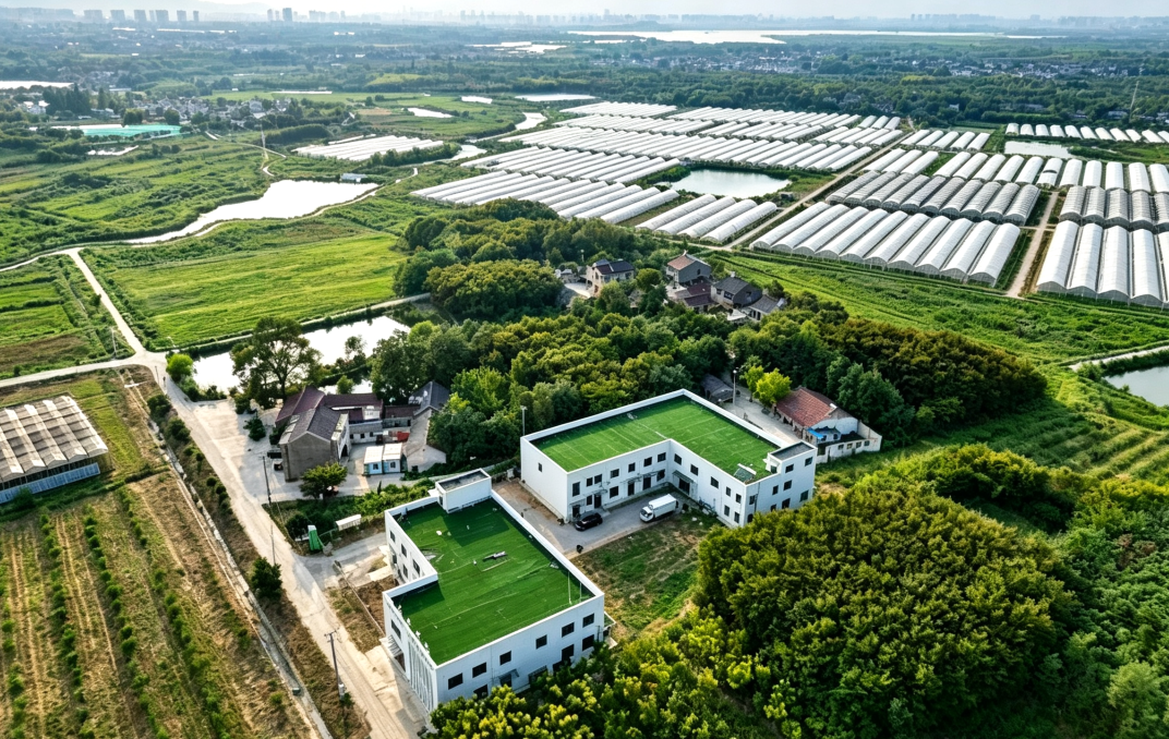 太阳城集团