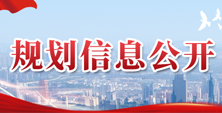 规划信息公开