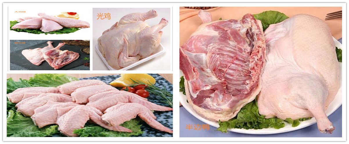 1636279998625534.jpg 1-200Q0000340305.jpg