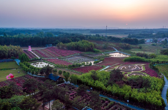 太阳城集团