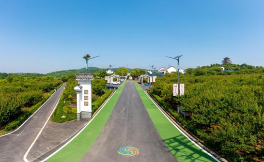太阳城集团